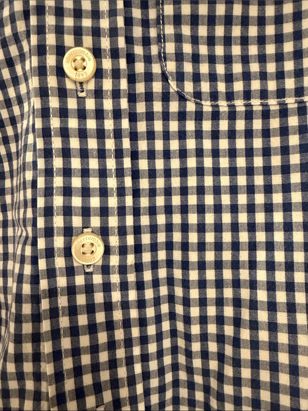 abercrombie kids Blue & White Gingham Button-Down Shirt - Picture 3 of 6